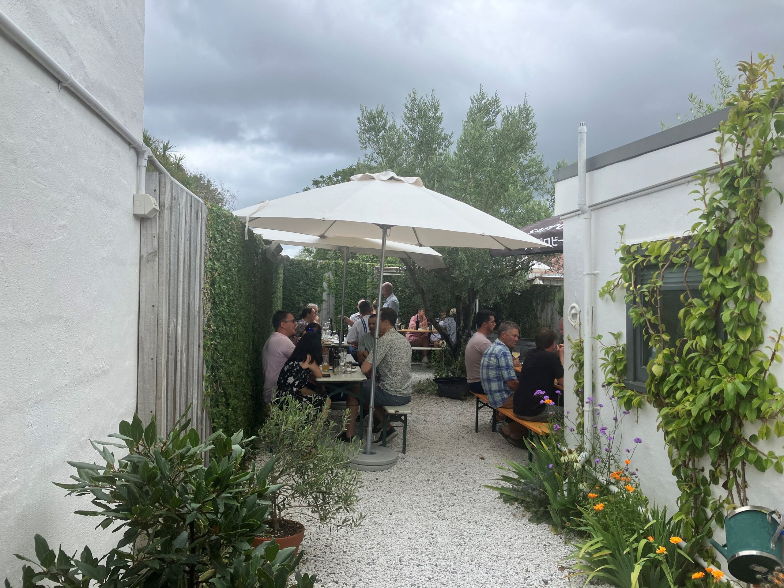 Bar Martin Mount Albert Auckland