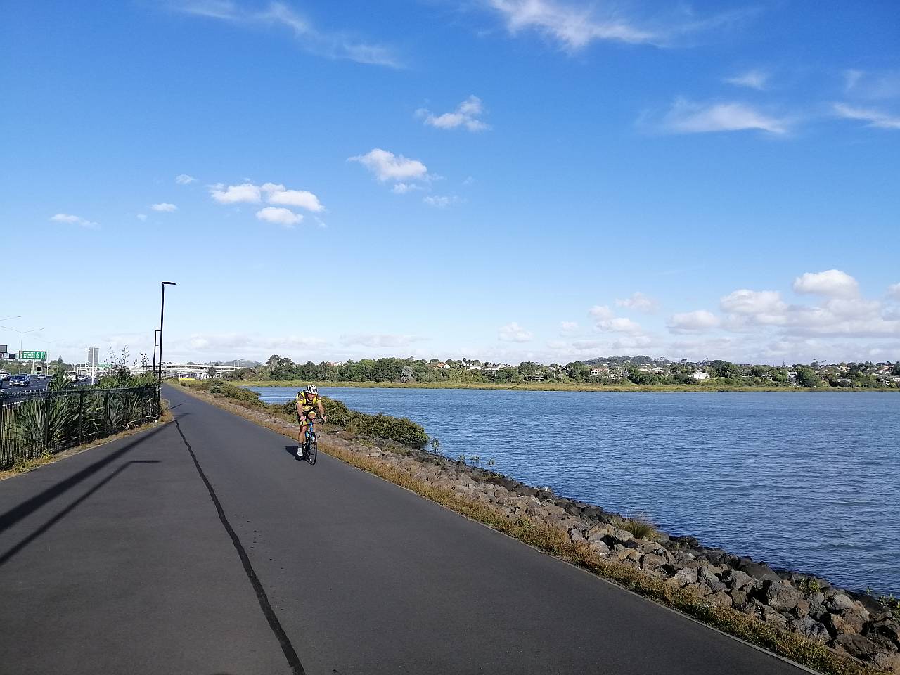 Northwestern Cycleway Te Ara Miti Auckland shared path