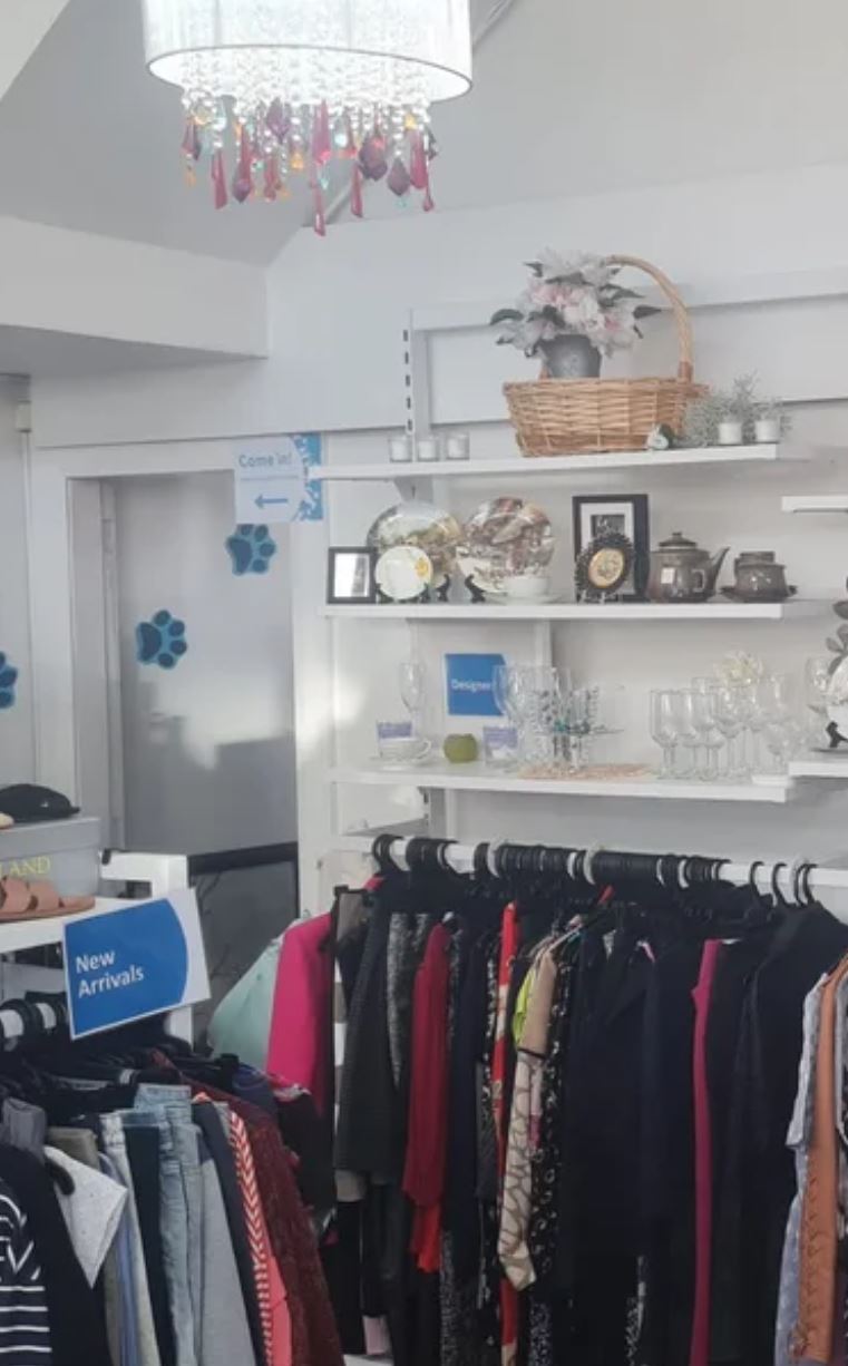 SPCA Op Shop Main Highway Ellerslie Auckland thrift store