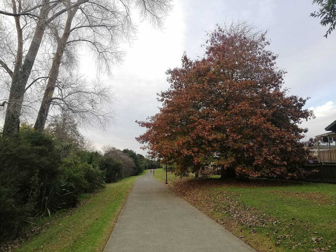 Oratia path Sunnyvale Auckland cycleway walkway
