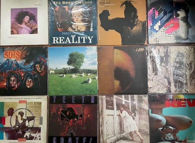 Flying Nun Records store Karangahape Road Auckland vinyl CDs