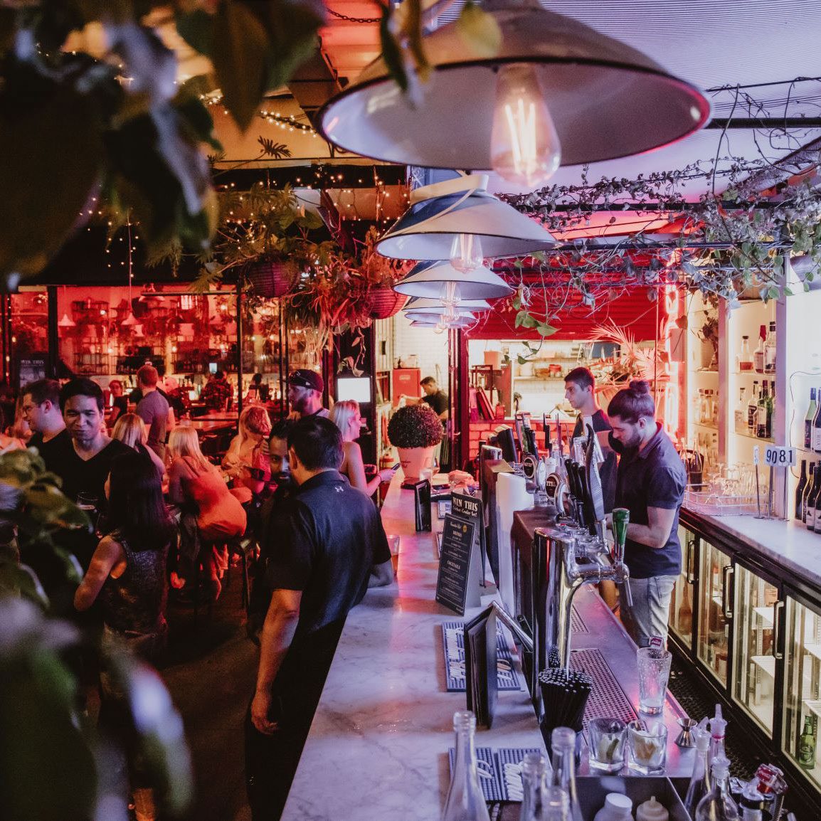 Citizen Park Kingsland Auckland outdoor bar
