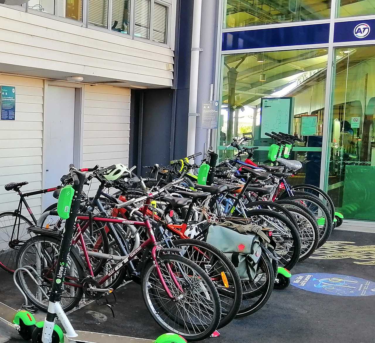 Walking and cycling in Auckland