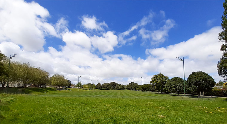 Fowlds Park Morningside Auckland