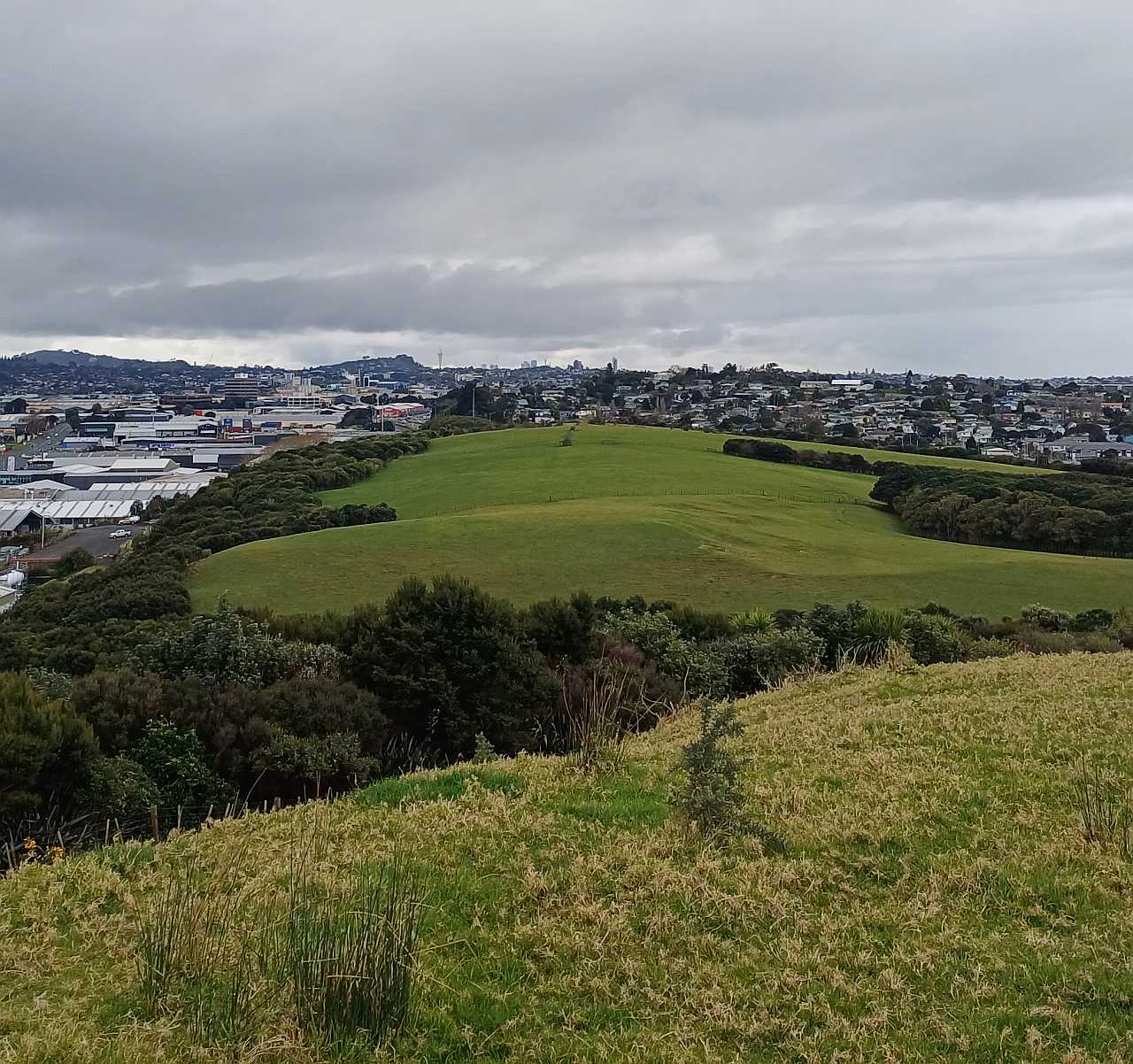 Mutukaroa Hamlins Hill Regional Park Great South Road Penrose Auckland volcanic summit views farmland bush