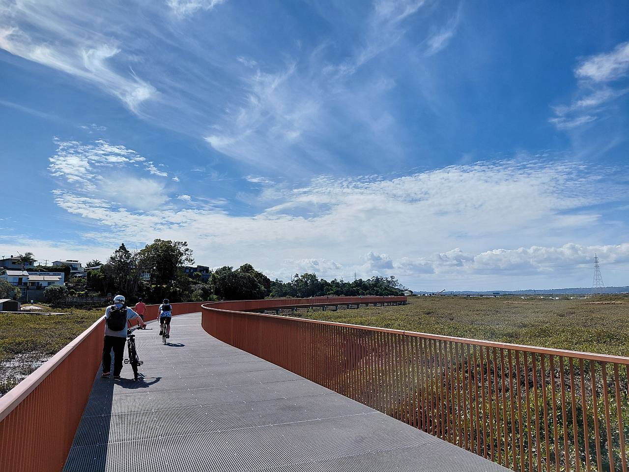 Te Whau Pathway boardwalk Te Atatu South Auckland Whau River mangroves cycling walking