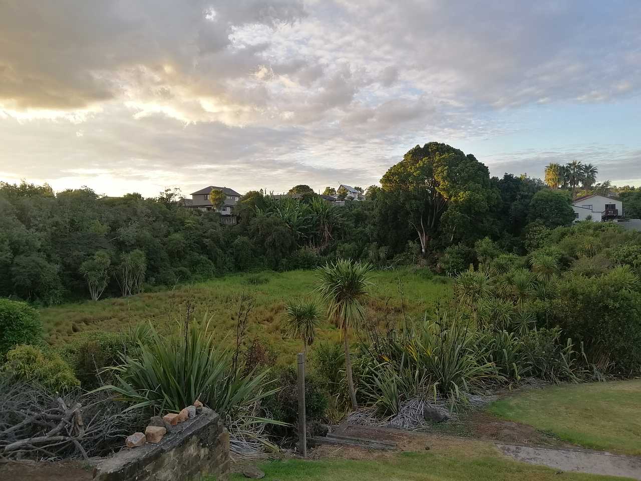 Hochstetter Pond Grotto Street Onehunga Auckland volcanic lava cave wetland urban park geology